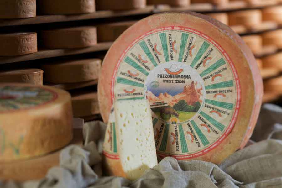 Il Puzzone, formaggio tipico della Val di fassa in Trentino