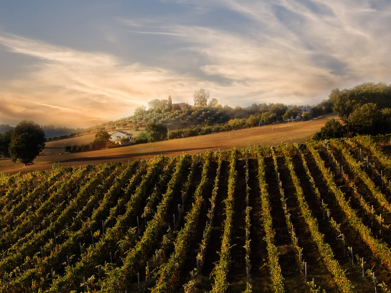Toscana