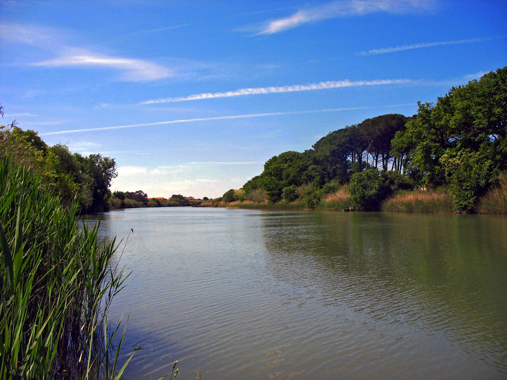 Entlang des Flusses Cecina