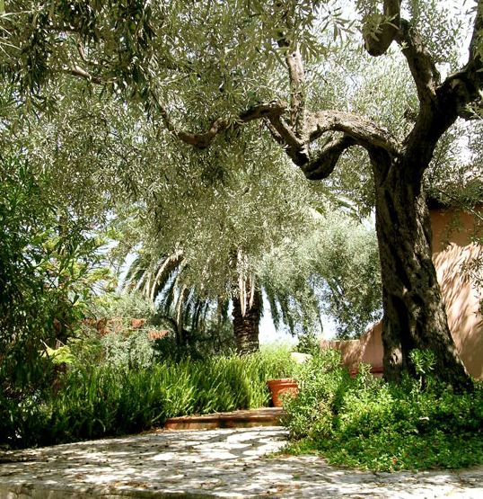 B&B Don Gaspano - Garden B&B Don Gaspano - Garden
