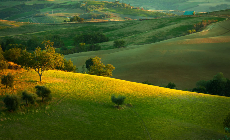 Sunset of Tuscany Fields