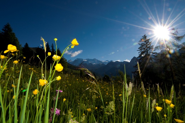 Sole in montagna