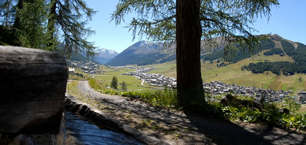 Hotel Garni Fracesin Livigno