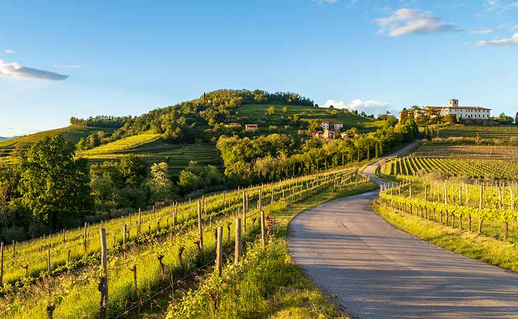 Friaul, Rosazzo Weinberge
