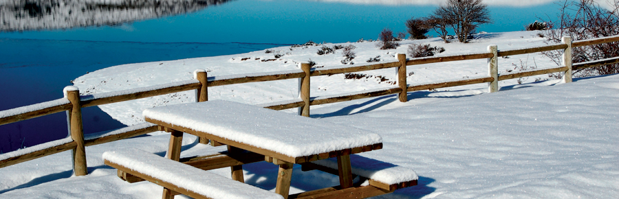 Neve 