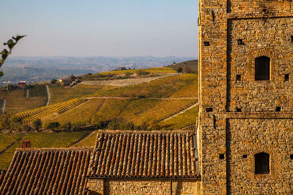 Viñedos en Castagnole Monferrato
