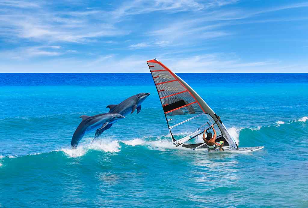 Planche à voile à Palau et dauphins