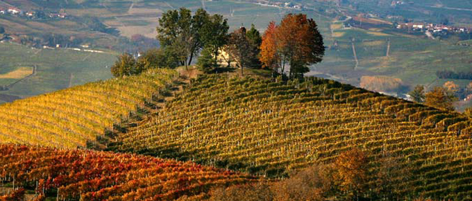 Langhe