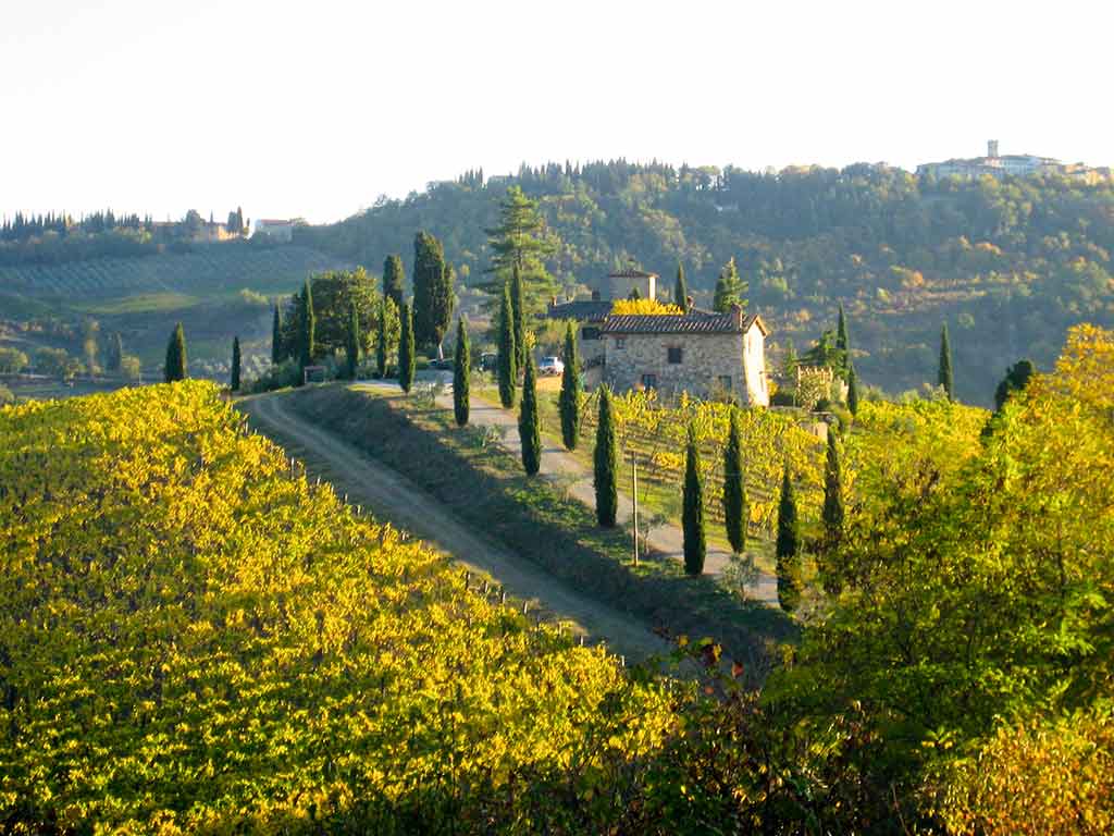 Arezzo, Colli Aretini