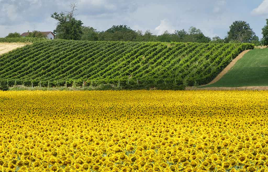 Emilia Romagna, Weinstraße von Piacenza