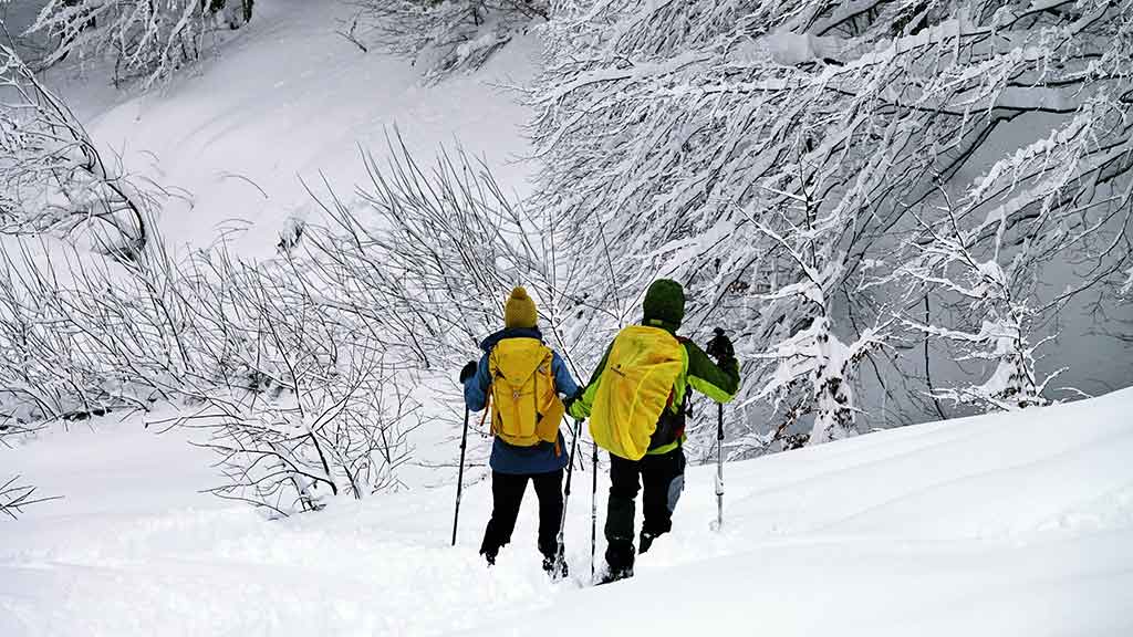 Emilia Romagna, Reggio Emilia, Cerreto Alpi sciatori