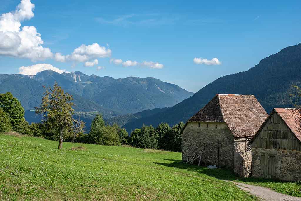 Friuli, Carnia
