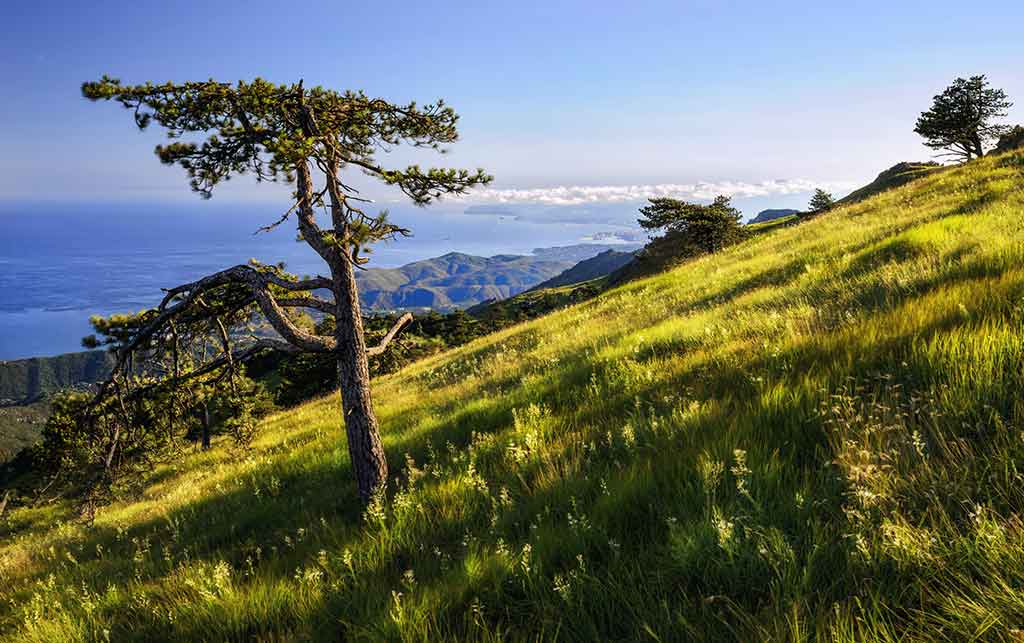 Liguria, View from the Pallare Mountains