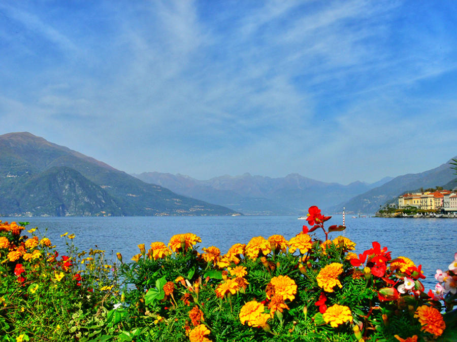 Fiori sul lago a Bellagio