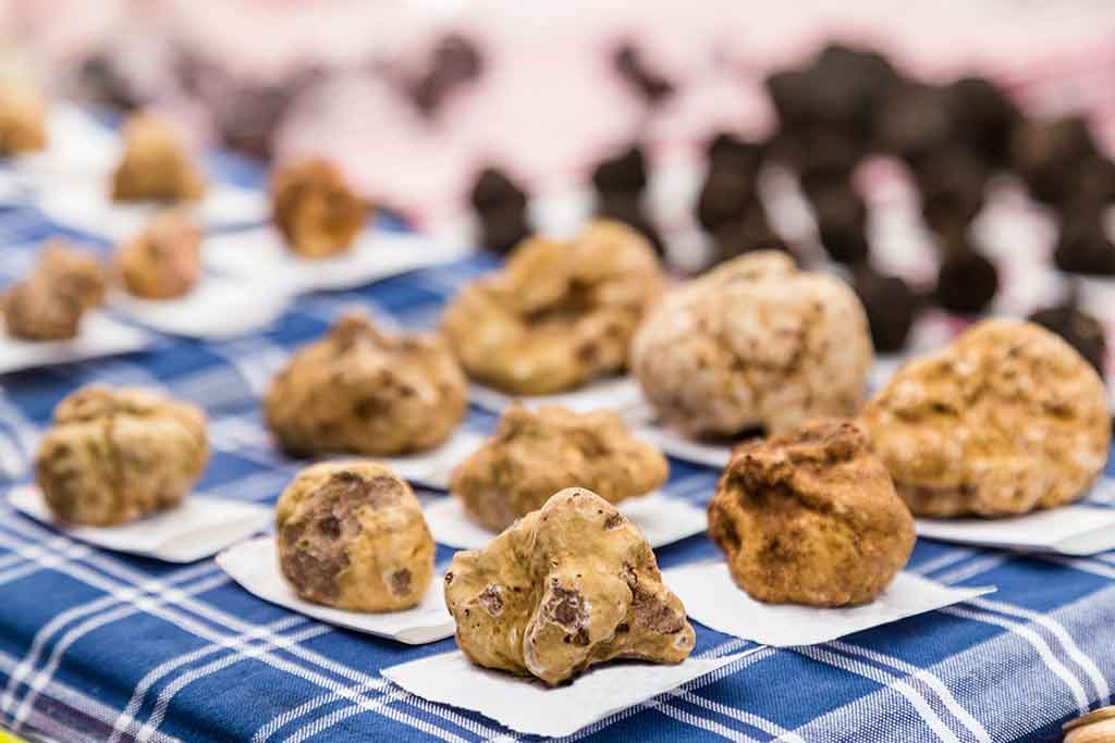 Alba, tartufo bianco