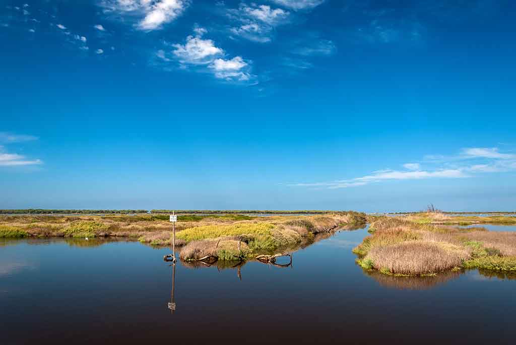 Area umida di Arborea, Oristano