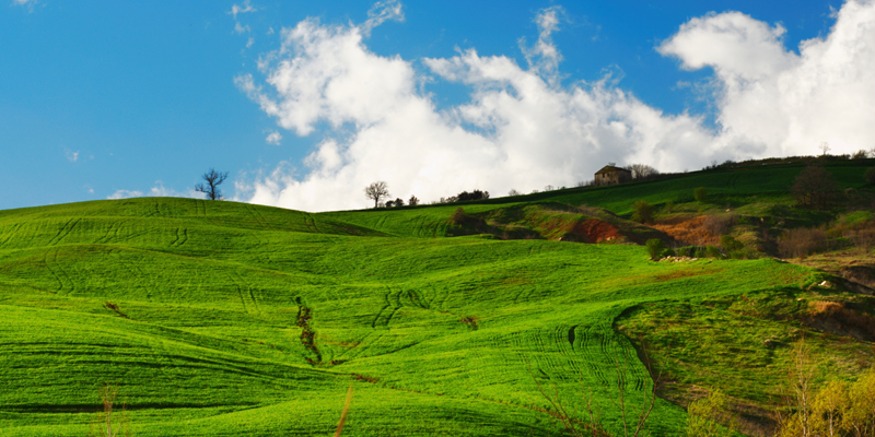 Molise