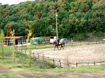 Reiterzentrum Agriturismo l'Elmo