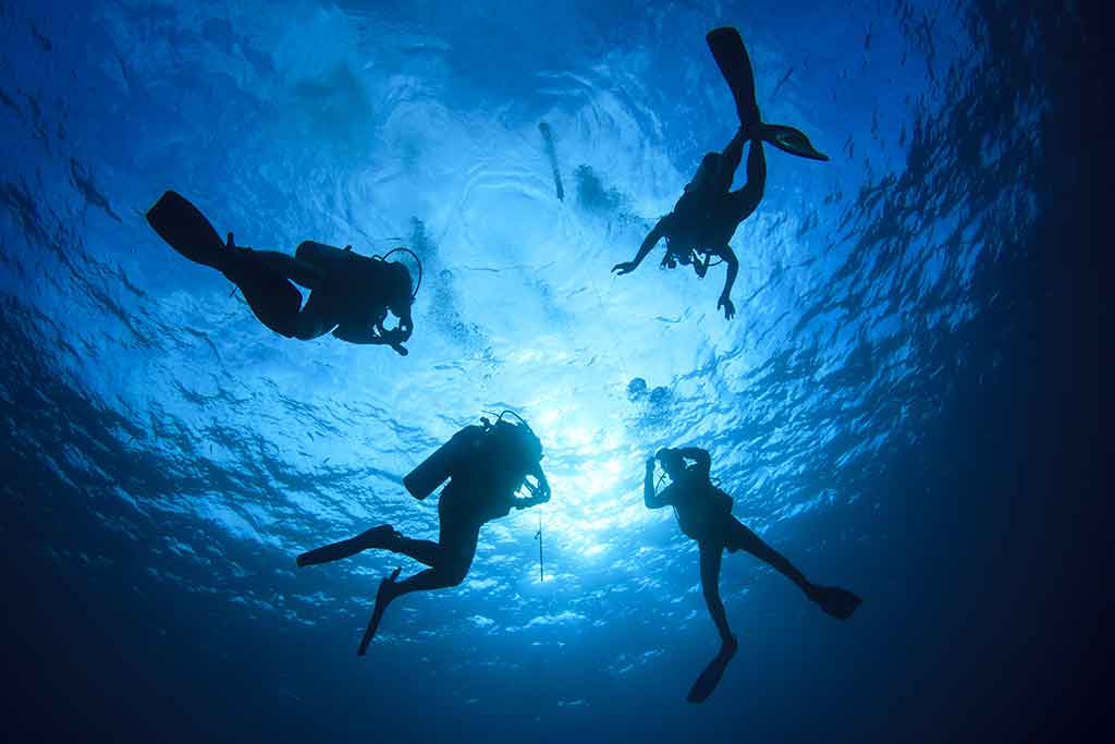 Dove immergersi a Lampedusa