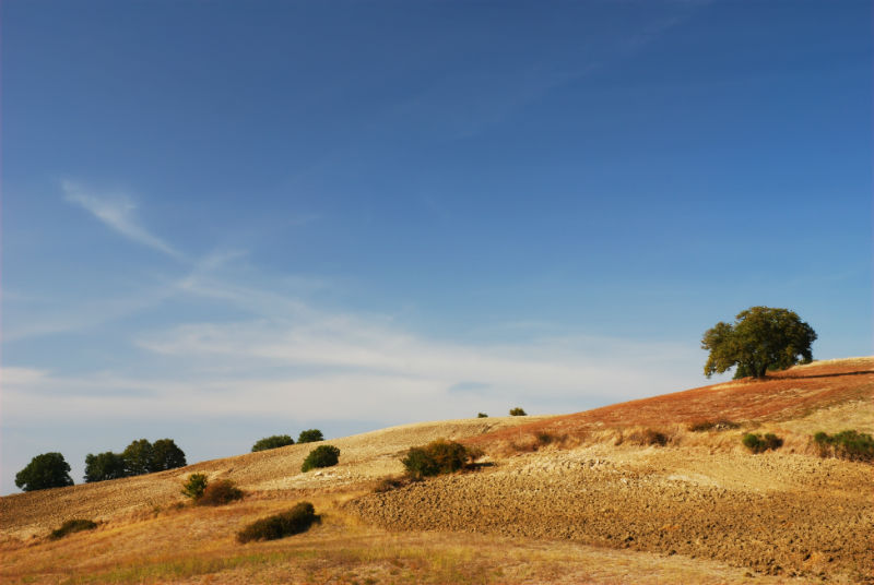 Molise