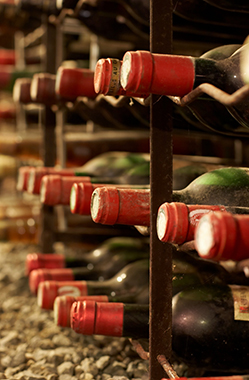 Cantina vinicola