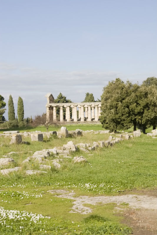 Campania