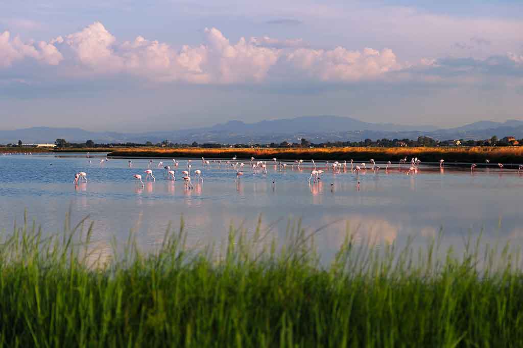 Parco della Salina di Cervia