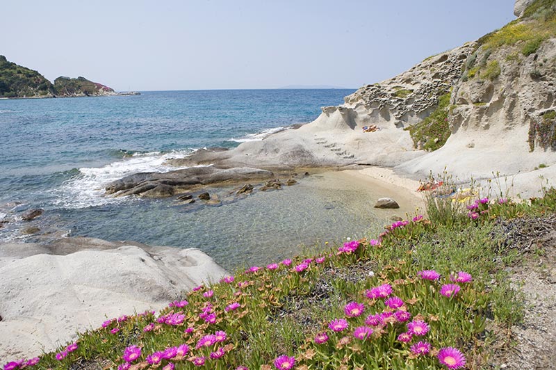 Hotel Cernia Isola Botanica | Marciana Marina