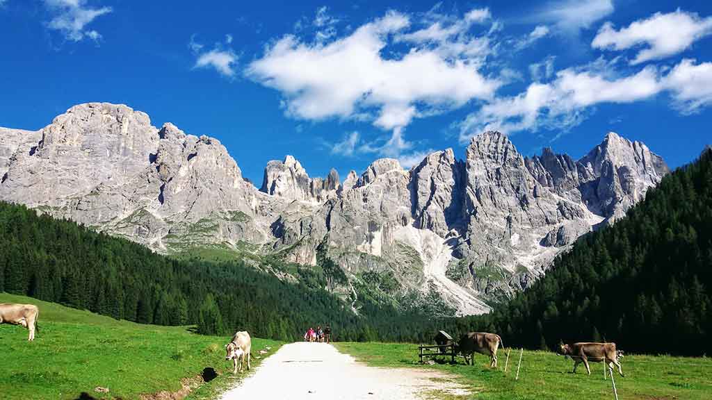 Fiera di Primiero, Blick auf den Pale di San Martino