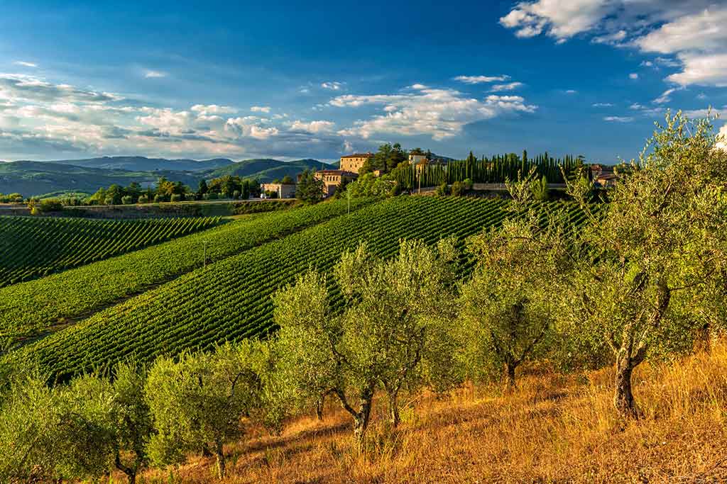 Tuscany, Gaiole in Chianti, landscape
