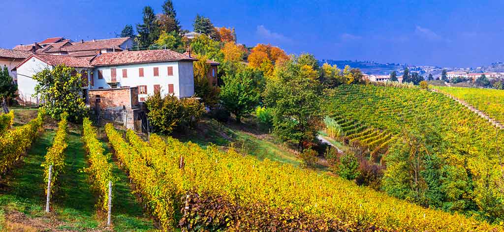 Gattinara, Vercelli, vigneti