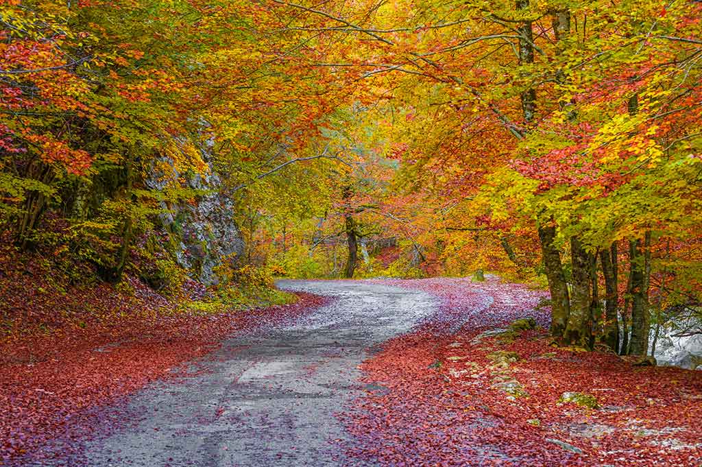 Isernia, autunno nei boschi del Molise