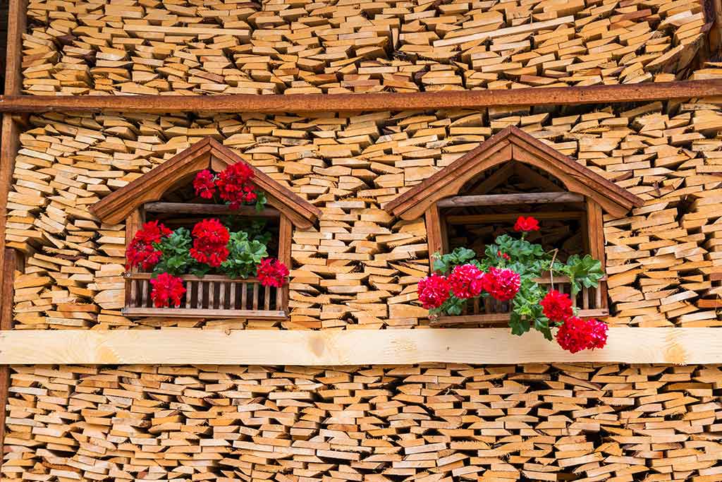 Caratteristica immagine di Moena in Val di Fassa