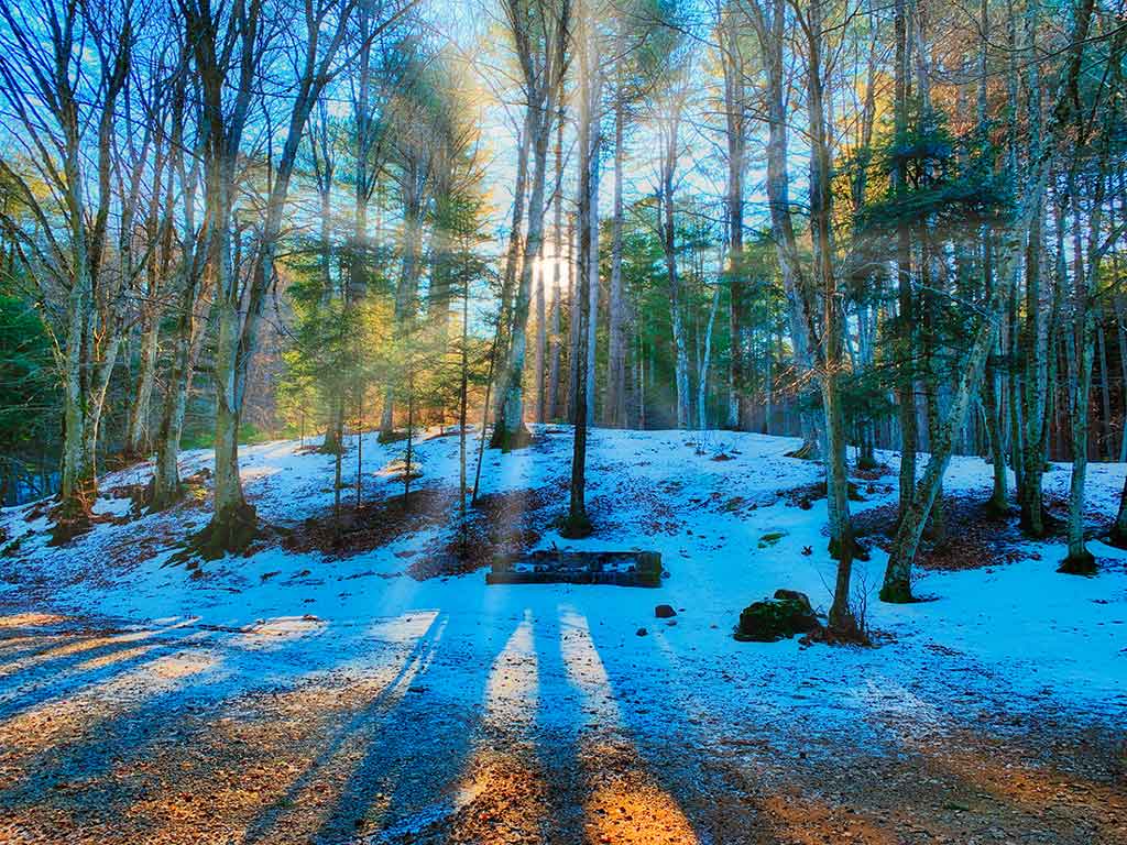 Winter landscape of the Aspromonte Park