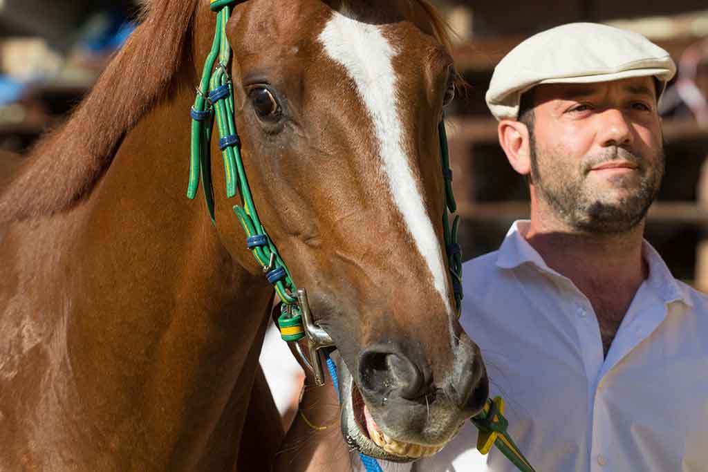 Il Palio di Siena
