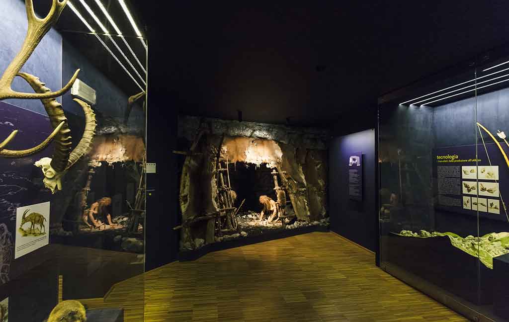 Museo, Vittorino Cazzetta