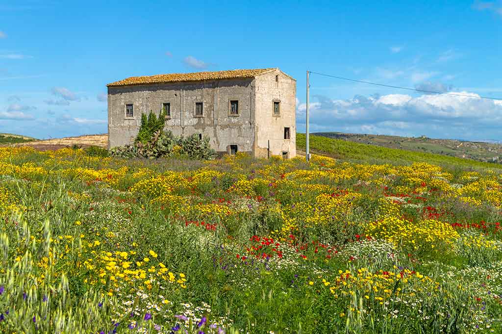 Picturesque image of the countryside of Caltanissetta