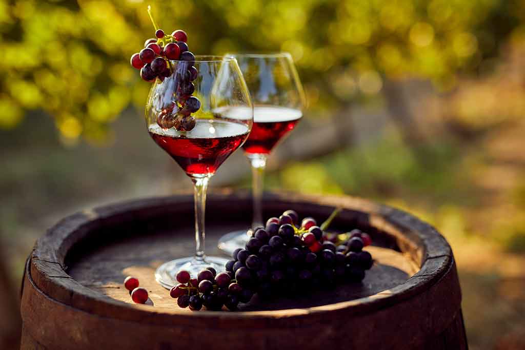 Cerignola red wine, Foggia