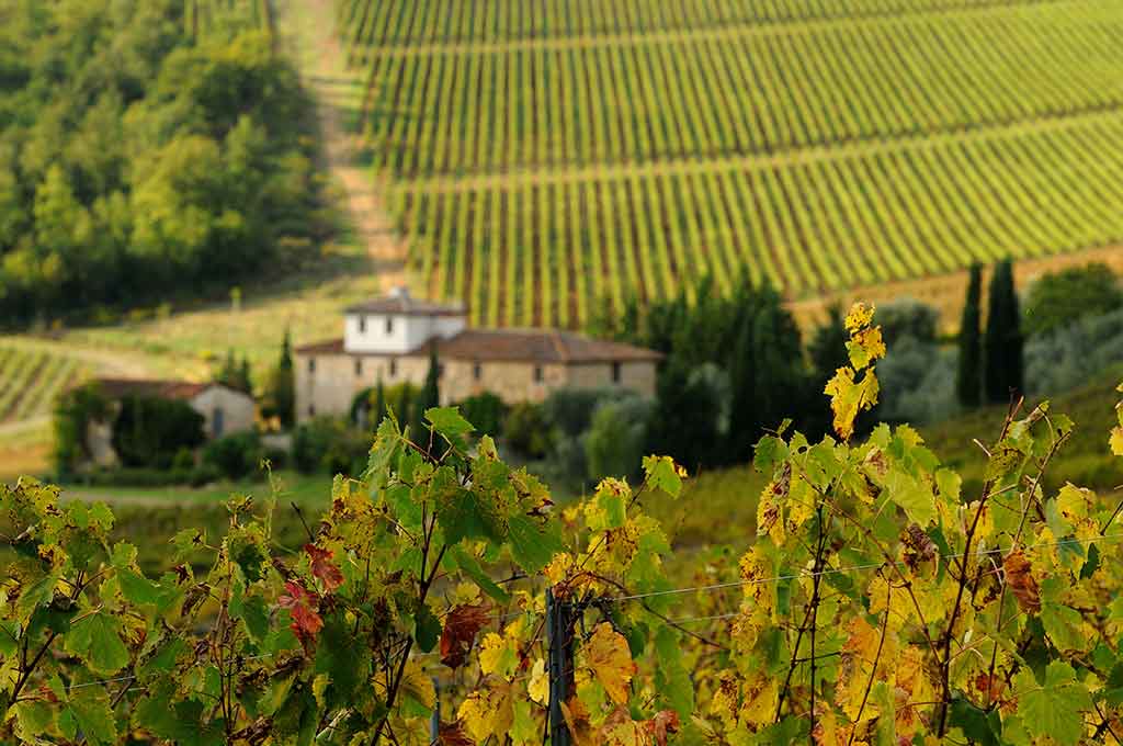 Scansano, Maremma Toscana