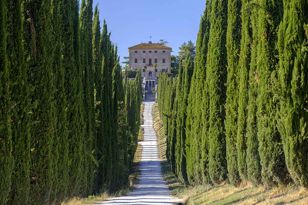 Terni, avenue des cyprès à Villa Aspreta