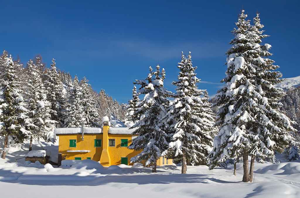 Aprica